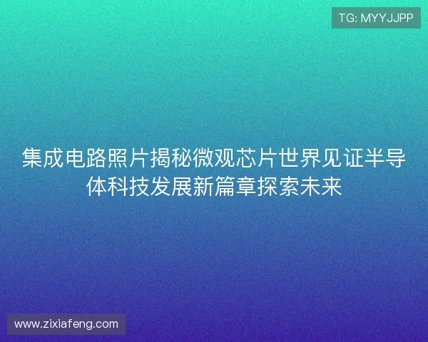 集成电路照片揭秘微观芯片世界见证半导体科技发展新篇章探索未来